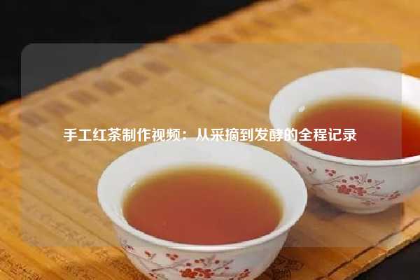 手工红茶制作视频：从采摘到发酵的全程记录