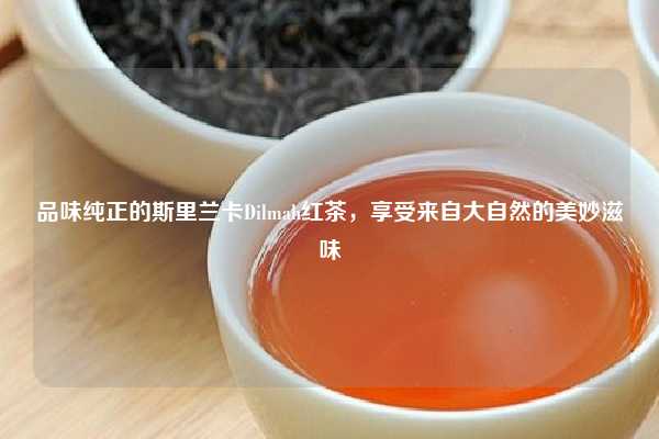 品味纯正的斯里兰卡Dilmah红茶，享受来自大自然的美妙滋味