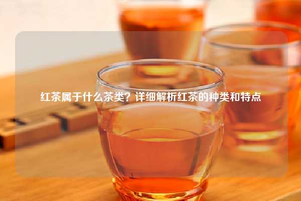 红茶属于什么茶类？详细解析红茶的种类和特点