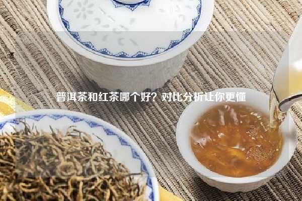 普洱茶和红茶哪个好？对比分析让你更懂