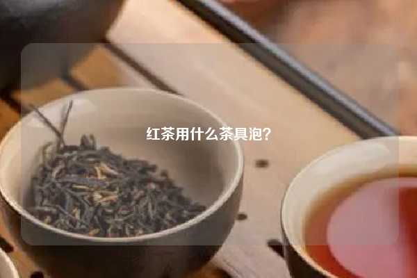 红茶用什么茶具泡？