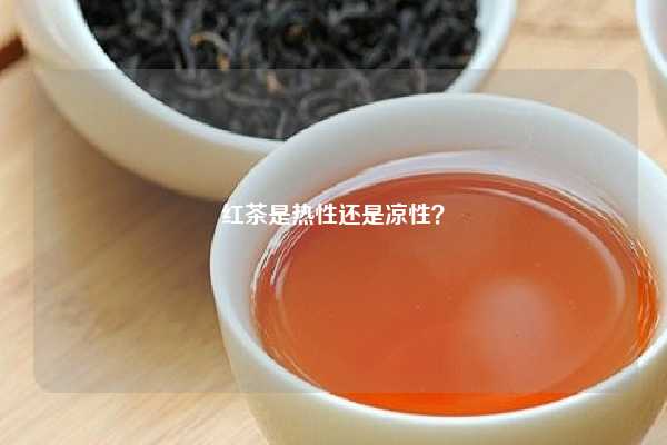 红茶是热性还是凉性？