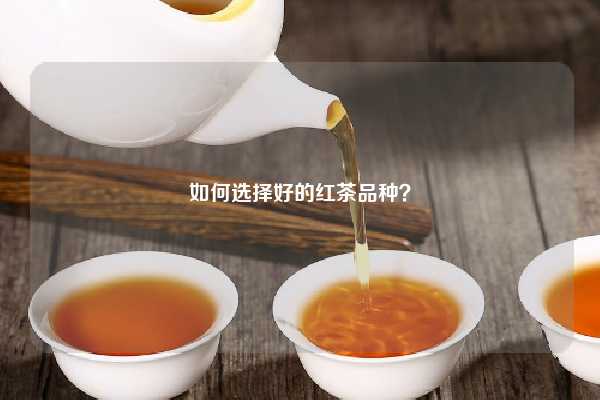 如何选择好的红茶品种？