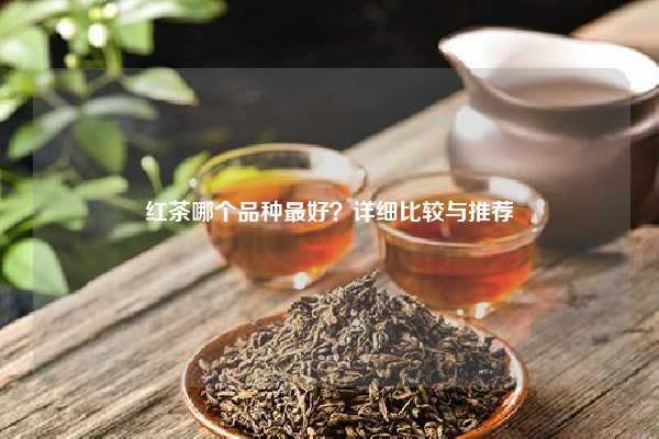 红茶哪个品种最好？详细比较与推荐