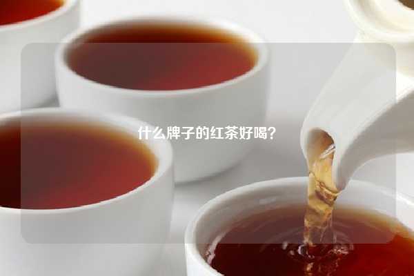 什么牌子的红茶好喝？