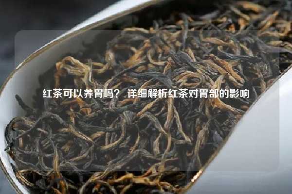 红茶可以养胃吗？ 详细解析红茶对胃部的影响