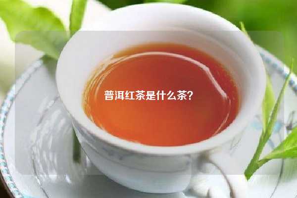 普洱红茶是什么茶？