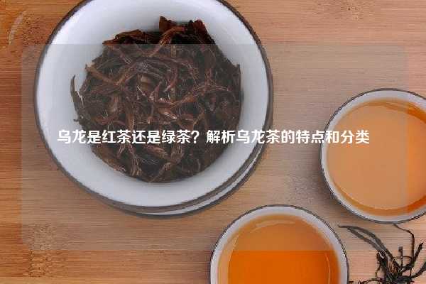 乌龙是红茶还是绿茶？解析乌龙茶的特点和分类