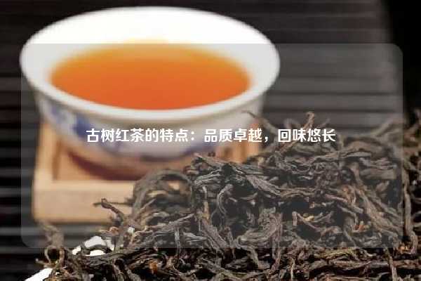 古树红茶的特点：品质卓越，回味悠长