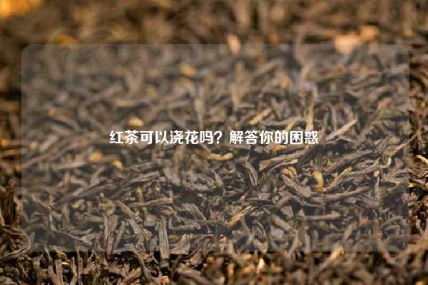 红茶可以浇花吗？解答你的困惑