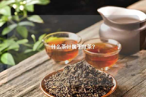 什么茶叶属于红茶？