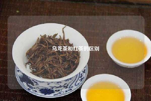 乌龙茶和红茶的区别