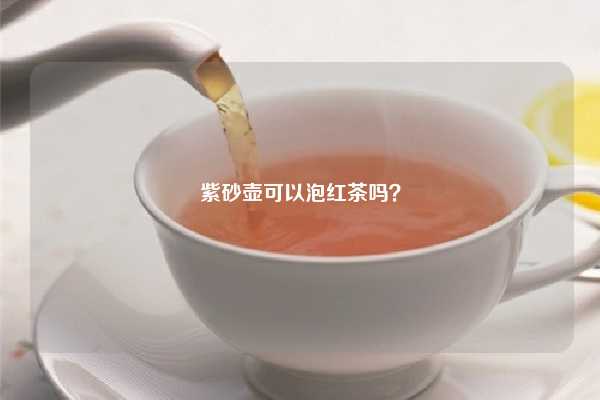 紫砂壶可以泡红茶吗？